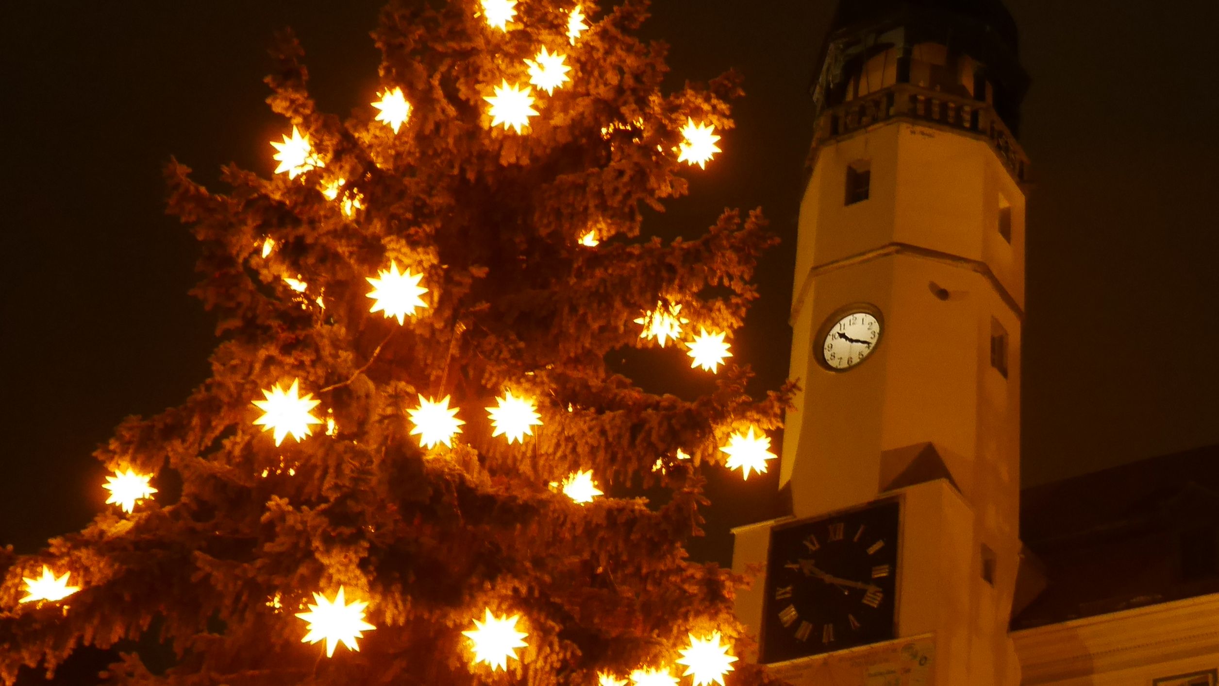 bei Nacht- beleuchtetes Rathaus und der mit Herrnhutersternen geschmückte Weihnachtsbaum