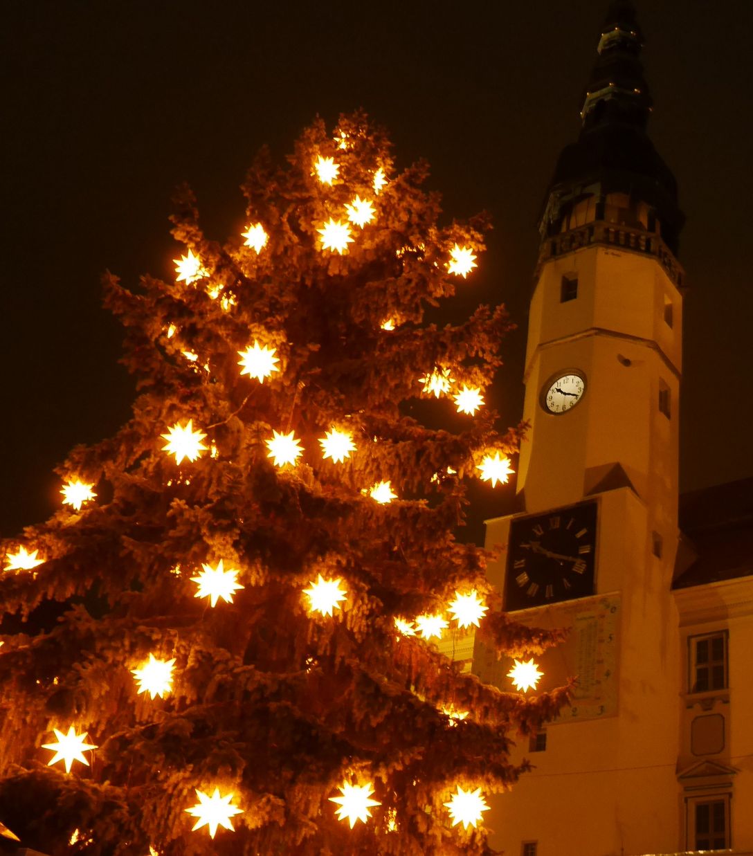 bei Nacht- beleuchtetes Rathaus und der mit Herrnhutersternen geschmückte Weihnachtsbaum
