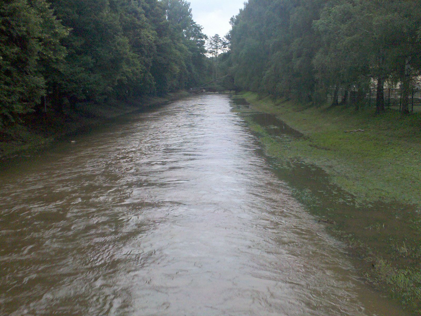Hochwasser entlang der Spree